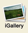 I Gallery